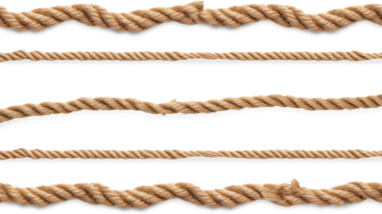 String, set rope isolated on transparent, top view
