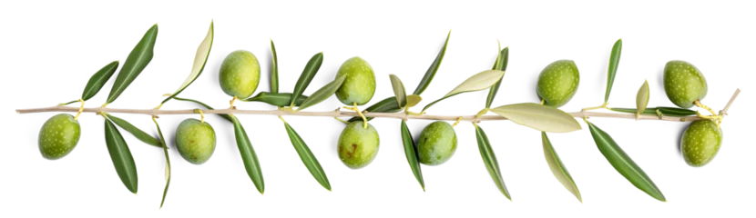 Foto auf Acrylglas fresh olive twig with several green olives on it, typical for mediterranean countries like Italy or Greece, isolated, flat lay © MDNANNU