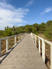 Fototapeta na wymiar A wood pedestrian and cycling walkways, build over a sand dune and cross the forest that is used to give beach access in Esposende beaches. North coast ecovia, Esposende, Portugal, Europe