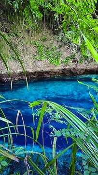 Blue water in Enchanted River. Hinatuan, Surigao del Sur. Philippines. Vertical view.