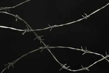 Shiny metal barbed wire on black background