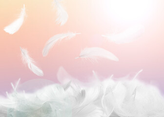 Fluffy bird feathers falling on color background