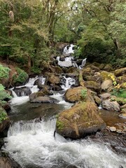 waterfall in the forest