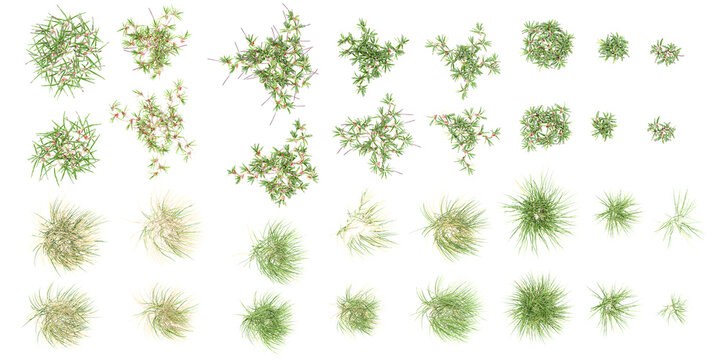 Collection of grass and bush with alpha mask, 3d rendering, for digital composition and architecture visualization from top view