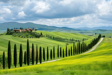 Fototapeta na wymiar A photo of a vibrant green field with numerous trees and a paved road traversing it, Rolling Tuscany fields with towering cypress trees, AI Generated