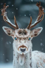 Gordijnen Deer in the snow © paul