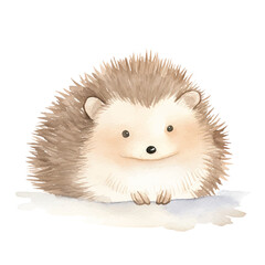 cute Hedgehog watercolor illustration