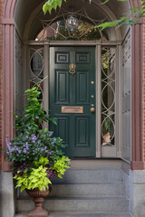 Nature-inspired green door, sidelights, and transom window create an inviting blend of light and style.