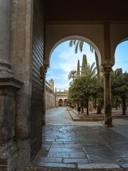 The courtyard of orange trees and columns of the Mesquita-Catedral, Mosque-Cathedral of Cordoba, Andalusia, Spain