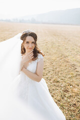 Fototapeta na wymiar A brunette bride in a voluminous white dress, posing in a field. The veil is thrown into the air. Beautiful hair and makeup. Wedding photo session in nature. Long train of the dress