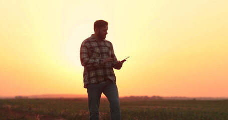 A farmer walks and looks at the field from which the crop has just been harvested, holding a tablet...