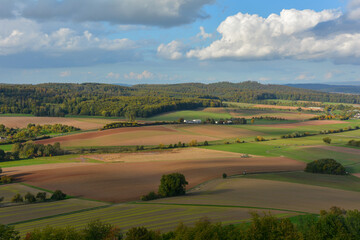 Fototapeta na wymiar View of a green landscape with farmland