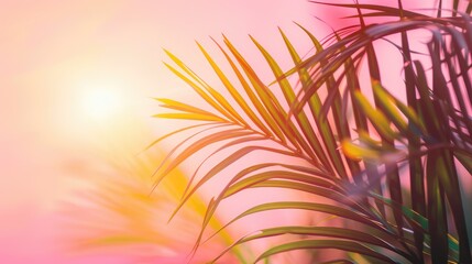 Fototapeta na wymiar Sunset on the beach. Palm leaves. Palm trees at tropical coast, coconut tree summer vacation concept