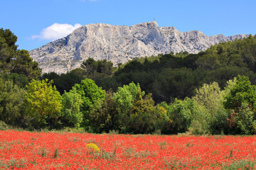 Montagne Sainte-Victoire, Provence-Alpes-Côte d'Azur, France - 744135737