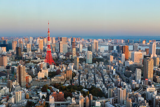 Tokyo Tower with skyline in Tokyo Japan © hicham