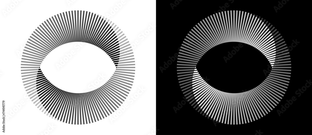 Poster Spiral with lines as dynamic abstract vector background or logo or icon. Yin and Yang symbol. Design element or icon. Black shape on a white background and the same white shape on the black side.