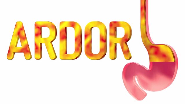 3d animation of stomach with fire. Showing the anatomical interior and the word "burning" in Spanish, on white background.