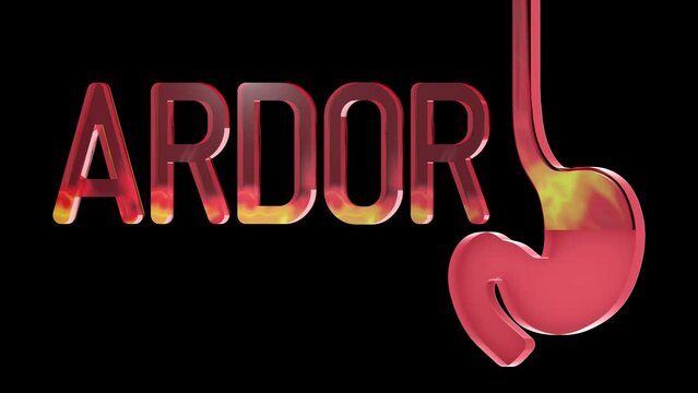 3d animation of stomach with fire and the word "burning" in Spanish transparent. Showing the anatomical interior, on a black background.