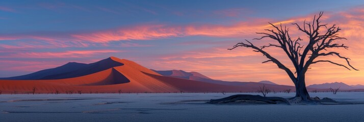 Surreal desert sunrise: tree silhouette against colorful sky
