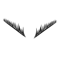 simple eyelash line