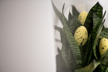hidden easter eggs in plant