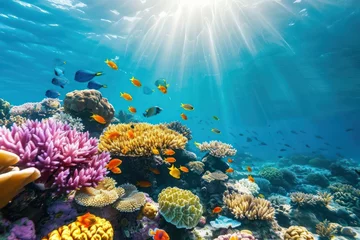 Tuinposter Vibrant underwater coral reef with tropical fish © David