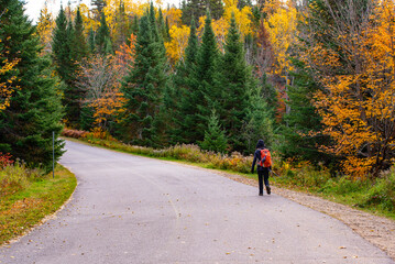 Mauricie, Canada - Oct 08 2022: Picture show the view in the Mauricie national park in colorful autumn