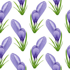 Watercolor purple crocuses seamless pattern, spring flowers digital paper on white background. Hand painted floral illustration. For textile design, packaging, wrapping paper, wallpaper, scrapbooking.