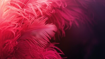Fluffy red feathers filling the frame, creating a lush texture