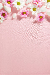 Spring's soft whisper: delicate daisies upon serene waters. Top view vertical photo of white and pink chrysanthemums with white stones on light pink water background with space for seasonal greetings