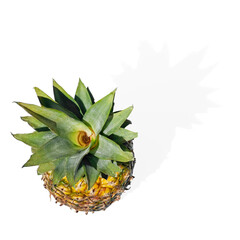 Pineapple with green leaves isolated on white background - 744176128