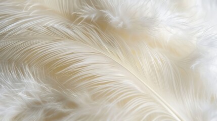 detailed white color fur background