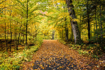 Fototapeta premium Mauricie, Canada - Oct 08 2022: Picture show the view in the Mauricie national park in colorful autumn
