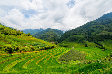 Rice terraces in northern Vietnam - 744185304