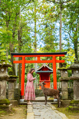 Woman feeding deer in Nara