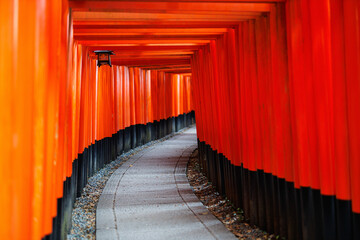 Fushimi Inari shrine in Kyoto - 744186541