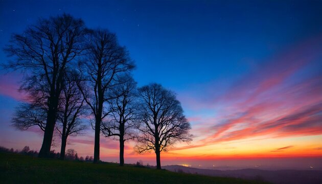 colorful sunset with night sky and trees silhouettes
