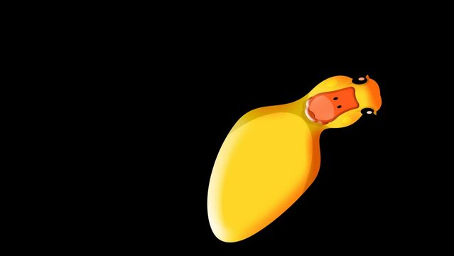 Duck animation with a cute head-shaking movement. Mysterious yellow duck. Transparent 4K Alpha Channel. Seamless loop. Suitable for celebration, Halloween parties, or magic shows.