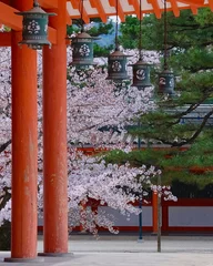 Keuken spatwand met foto 京都平安神宮の桜 © fukunature