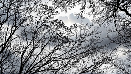 abstract background vivid colors, 8k background, abstract colorful abstract illustration, background 8k wallpaper PC