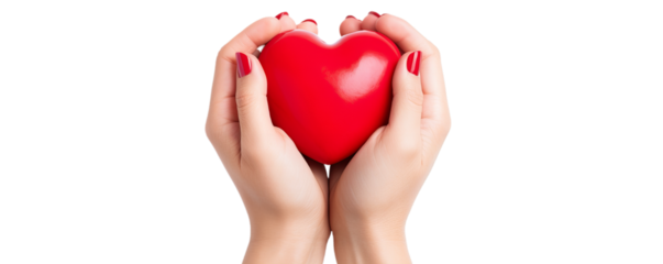 A red heart in his hands, a symbol of love. png image