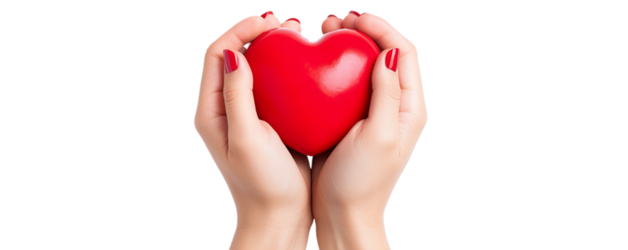 A red heart in his hands, a symbol of love. png image