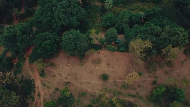 Rising Drone Shot of Lush Green Forest In South India After Sunset Stock Video Footage 1080