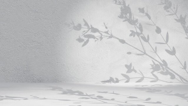 Plant tree leaf shadow gently moving by breeze on grey wall background animation loop rendering nature calm relaxing concept background 