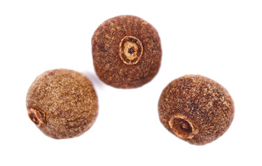 Close up allspice, pimento spice, Jamaican pepper isolated on white, macro