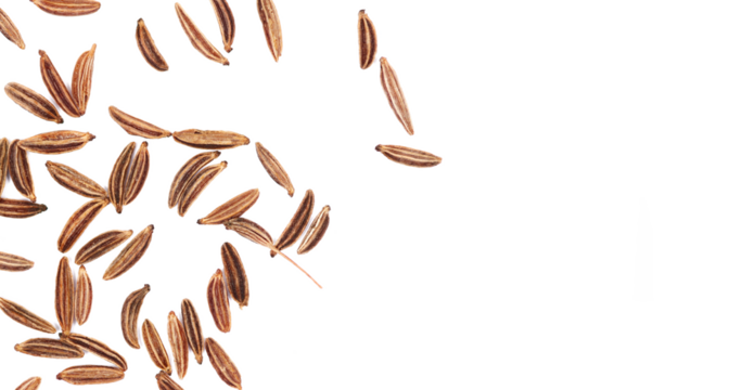 Close up cumin pile isolated on white, top view, macro