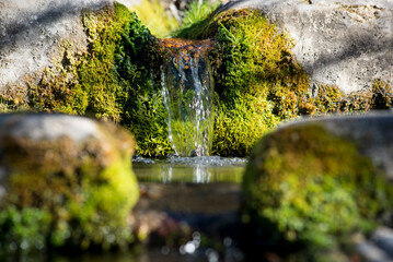Small waterfall in the mountains in autumn. Selective focus, shallow depth of field.