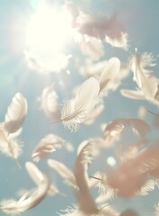 Ethereal White Feathers Floating in Bright Sky with Sun Flare