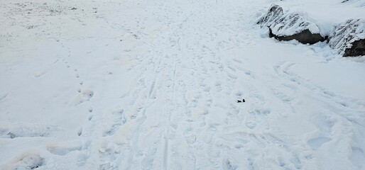 snow on a field.