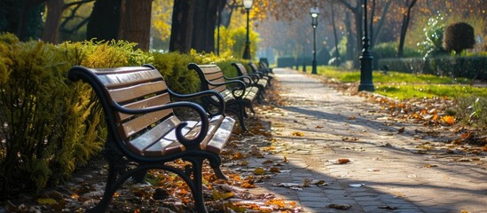 A line of empty park benches inviting a walk along the serene pathway.